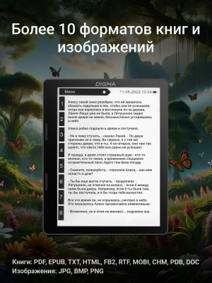Купить Электронная книга  Digma F4 5.83 черный-5.png